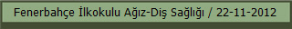 Fenerbahçe İlkokulu Ağız-Diş Sağlığı / 22-11-2012