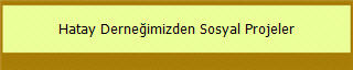 Hatay Derneğimizden Sosyal Projeler