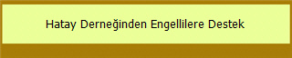 Hatay Derneğinden Engellilere Destek