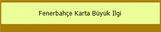 Fenerbahçe Karta Büyük İlgi