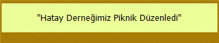 "Hatay Derneğimiz Piknik Düzenledi"